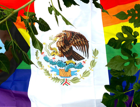 Mexican Pride Flags