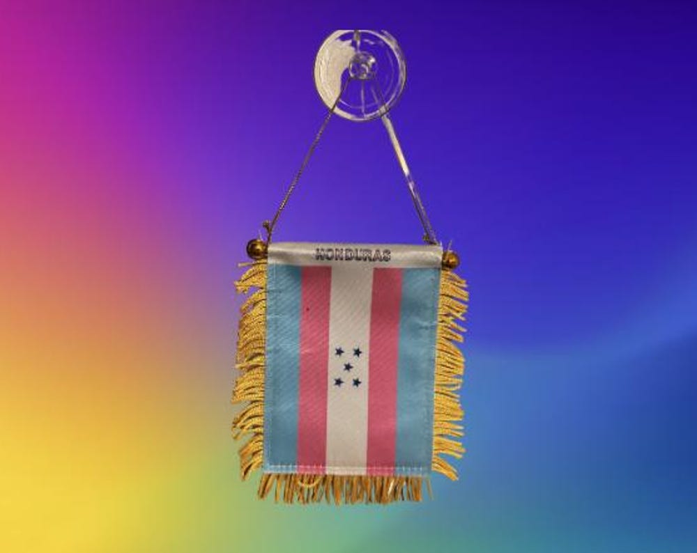 Honduran Hanging Trans Flag