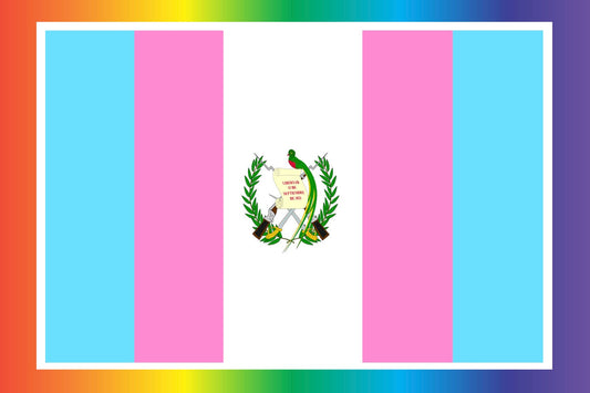 Guatemalan Trans Flag